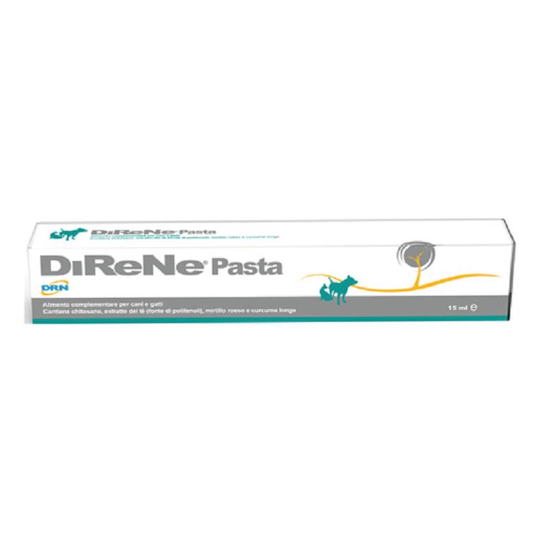 DIRENE PASTA 15ML