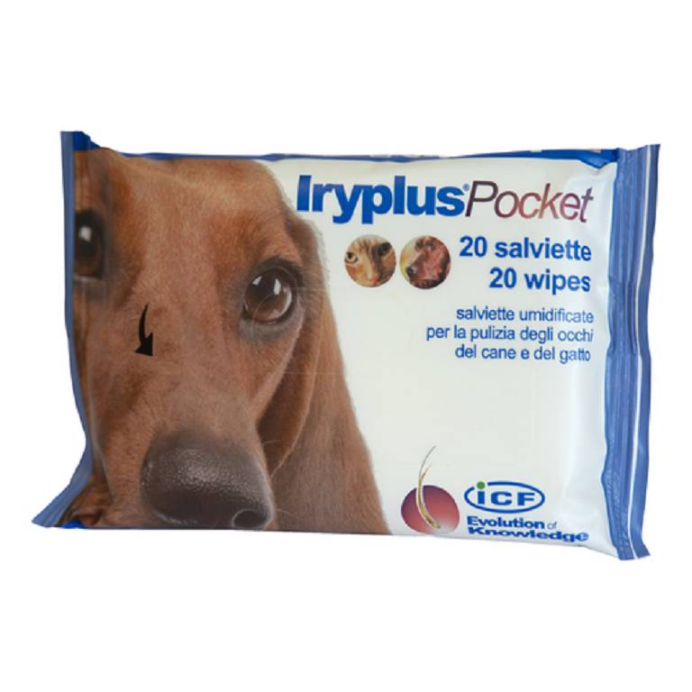 IRYPLUS POCKET SALVIETTINE 20P